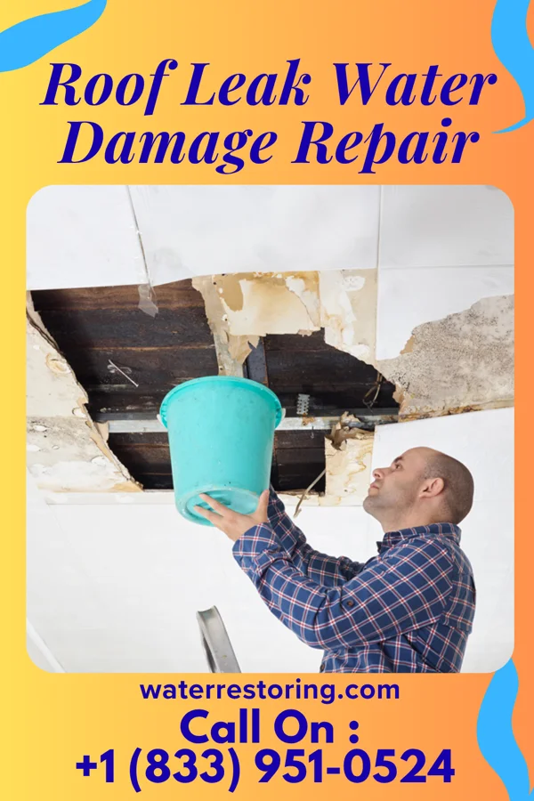 Roof Leak Water Damage Repair in Clitherall, MN