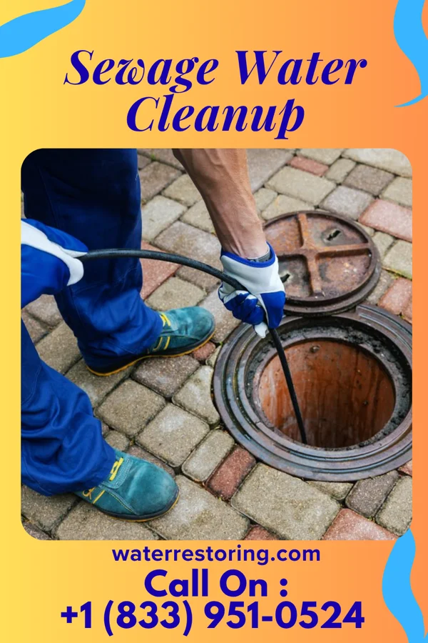 Sewage Water Cleanup in Clitherall, MN